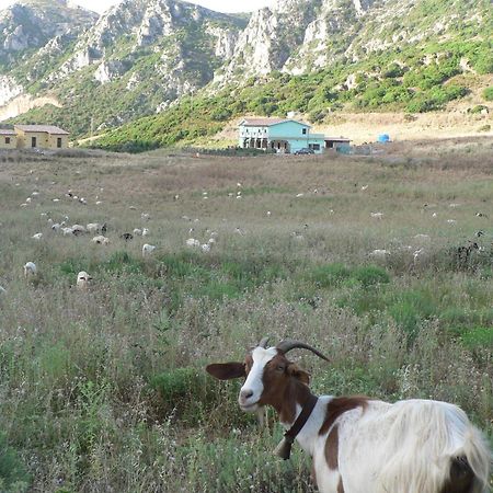 Agriturismo Sa Rocca Iglesias Luaran gambar