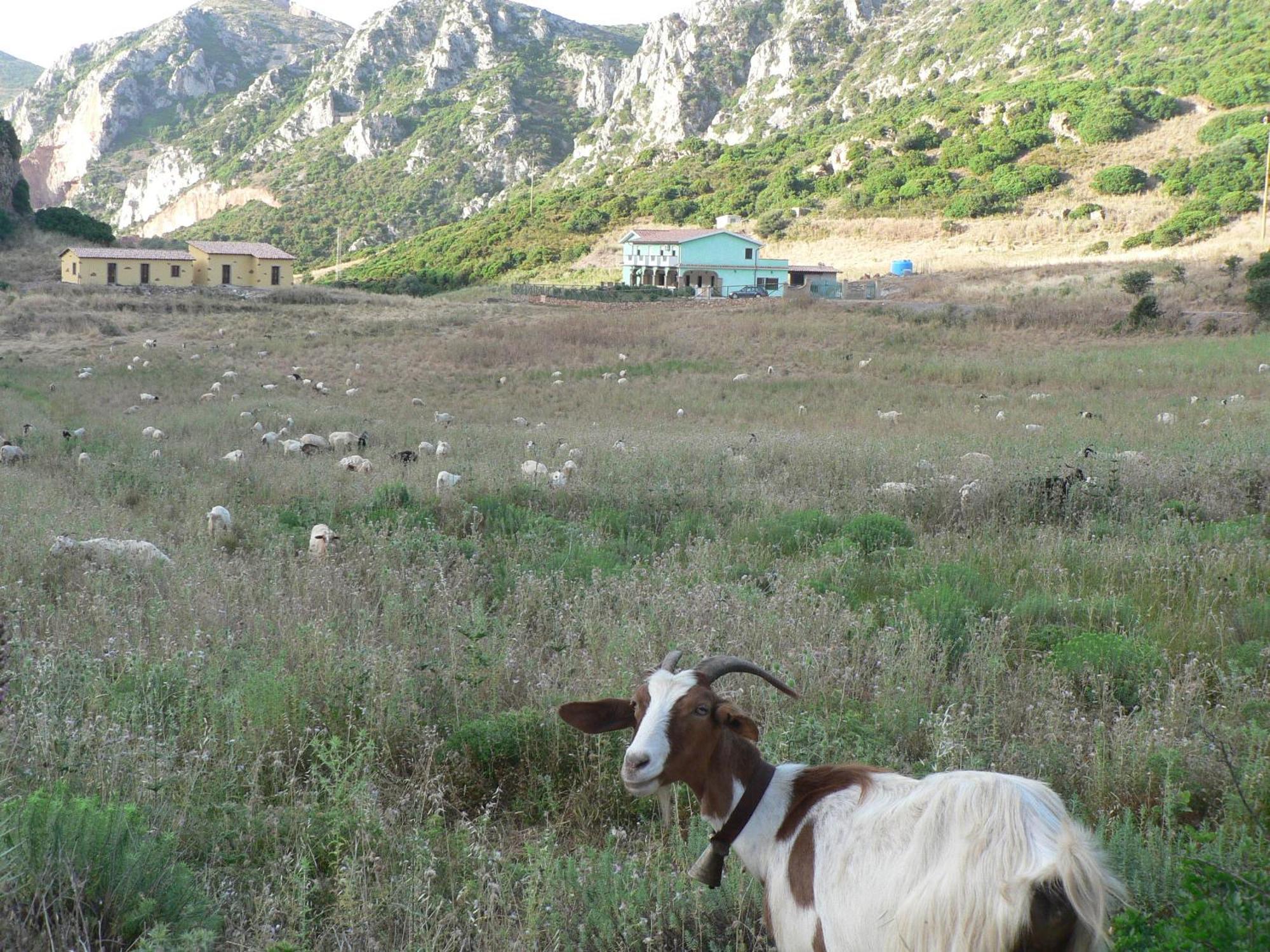 Agriturismo Sa Rocca Iglesias Luaran gambar