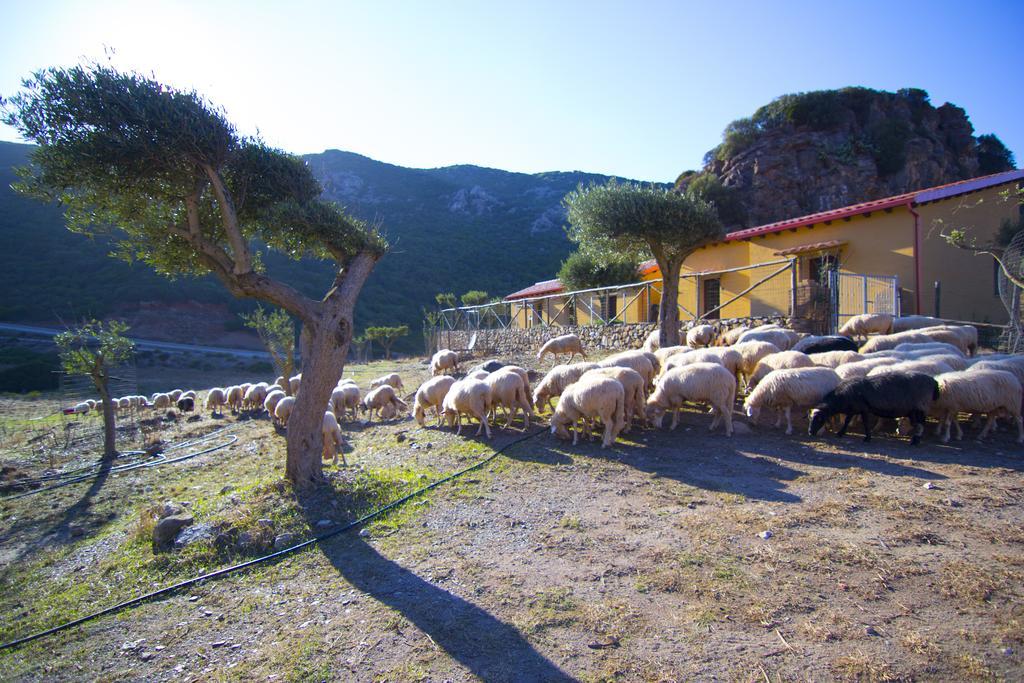 Agriturismo Sa Rocca Iglesias Luaran gambar