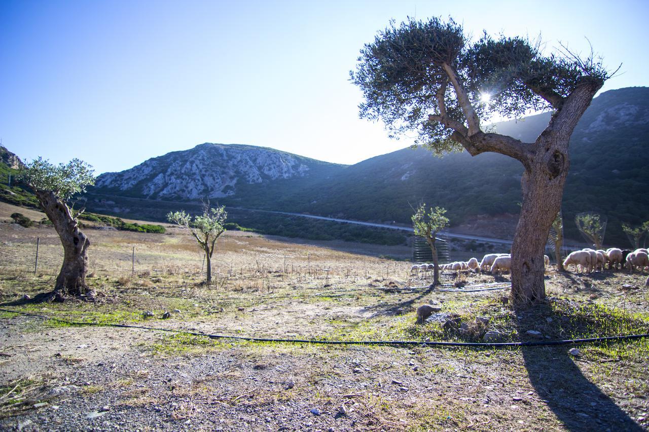 Agriturismo Sa Rocca Iglesias Luaran gambar